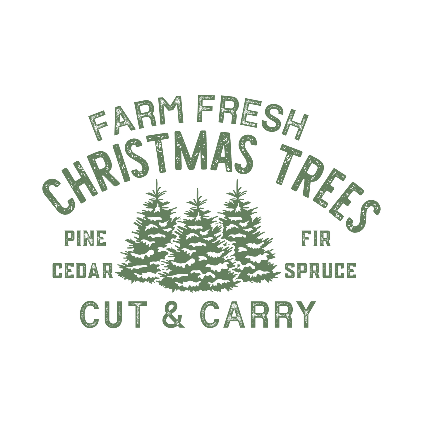 Farm fresh Christmas Trees